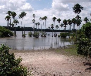 Laguna Tinije en Maní.  Fuente: mani-casanare.gov.co